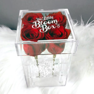 4 Rose Tall Crystal Acrylic Box