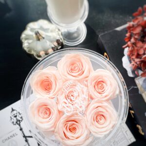 7 Rose CIRCLE Bloom Box