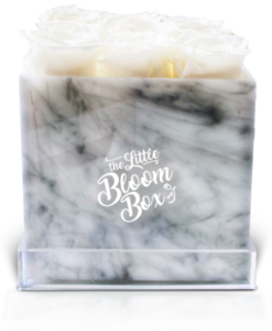 The Little Bloom Box – Eternal Roses in Keepsake Boxes, serving the Toronto  area